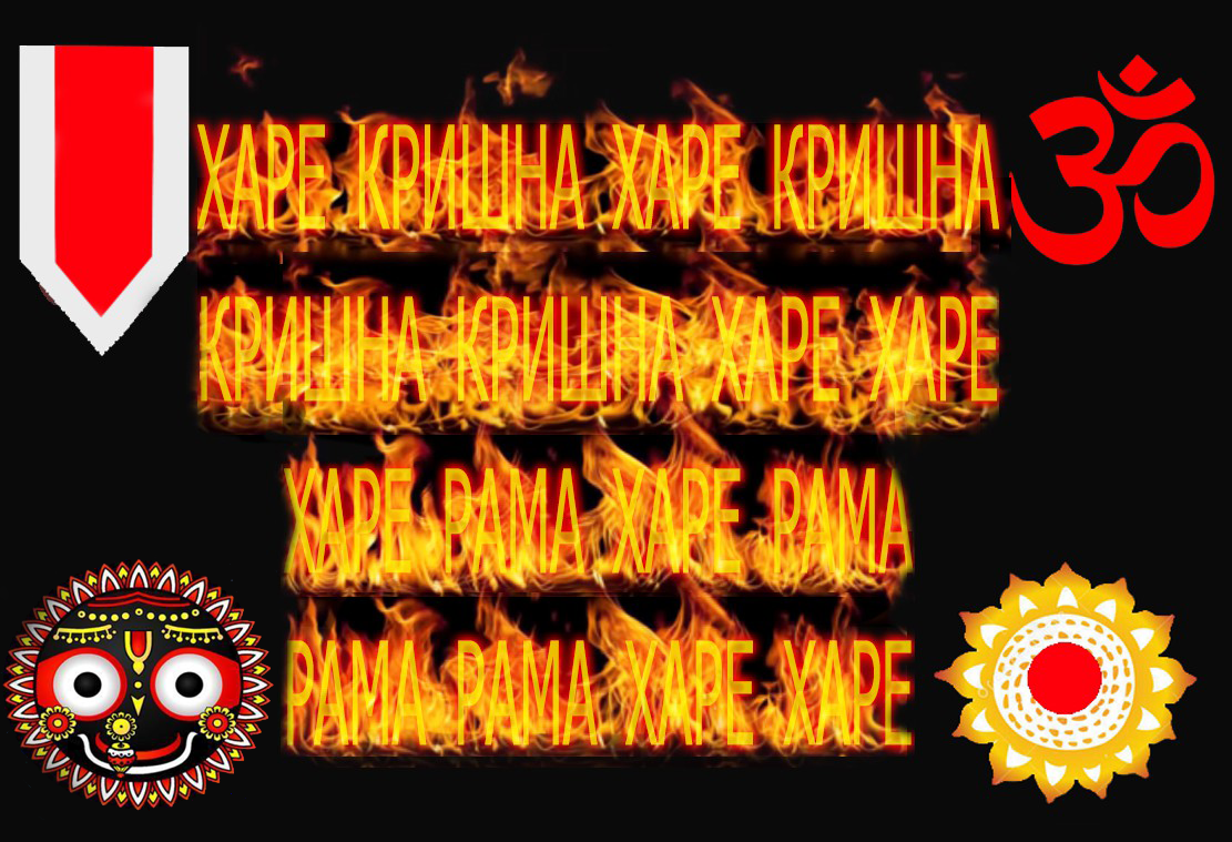 1603451493.5198231